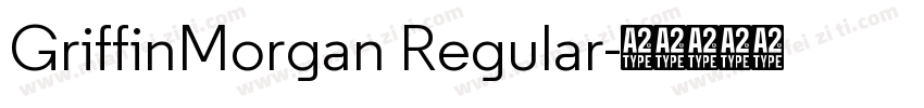 GriffinMorgan Regular字体转换